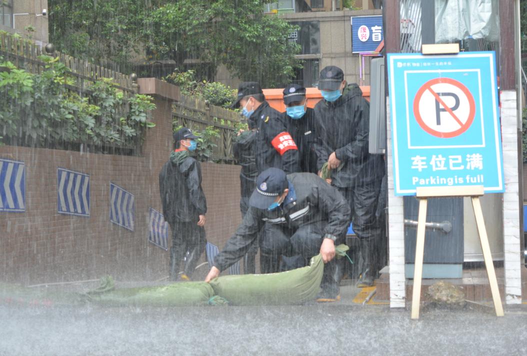 最新预警情况，全球安全态势的紧迫提醒