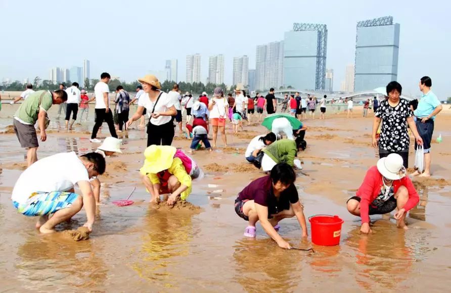 最新小锅赶海体验，探寻海洋宝藏的乐趣