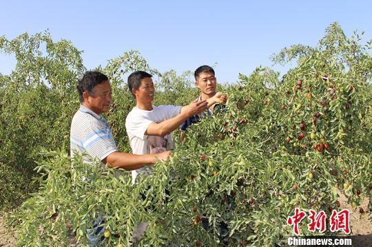 崔伟最新动态，探索前沿科技领域的领军人物