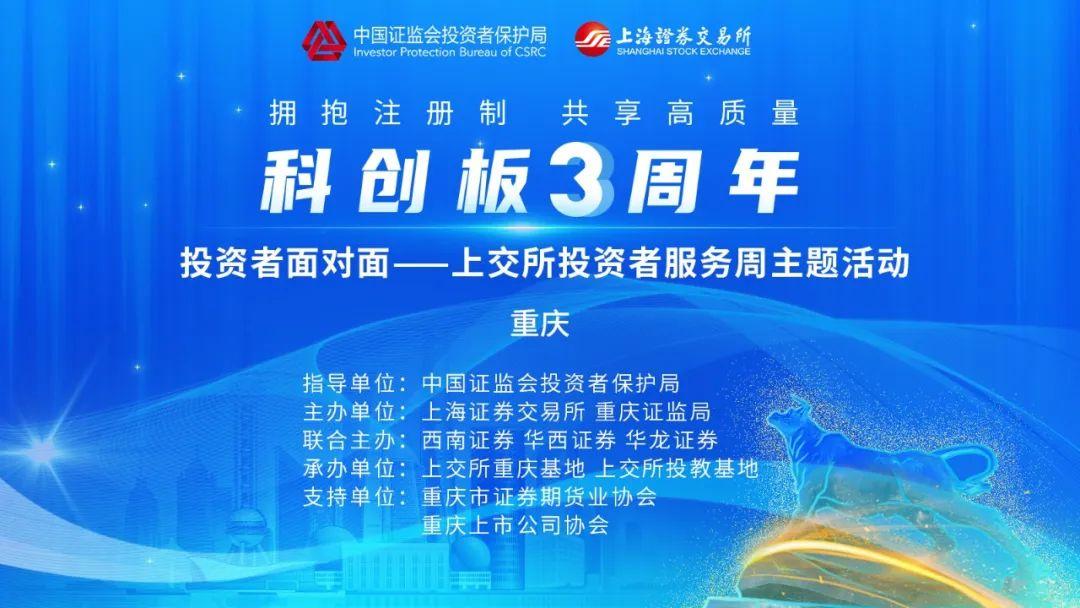 开市最新公告，市场动向与投资者策略