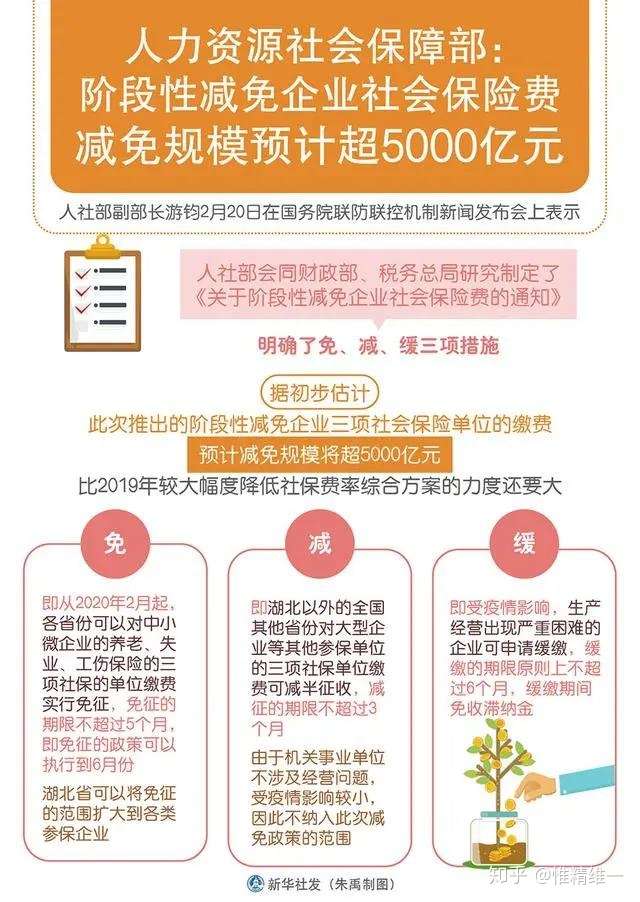 社保减免最新政策解析